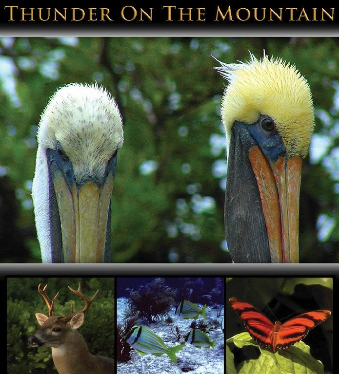 Фото - Thunder on the Mountain: 695x768 / 140 Кб