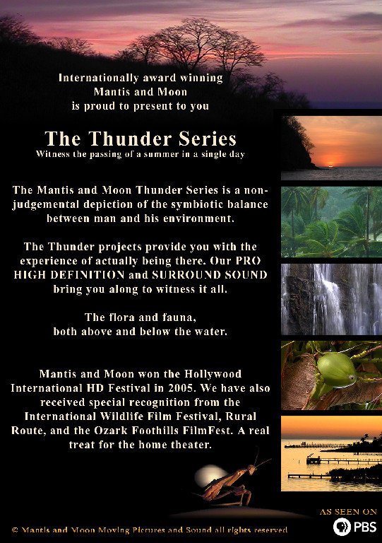 Фото - Thunder on the Mountain: 541x768 / 121 Кб