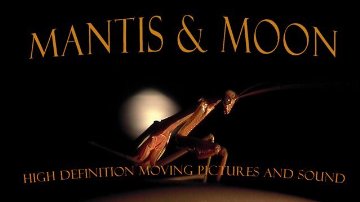 Фото - Thunder on the Mountain: 360x202 / 13 Кб