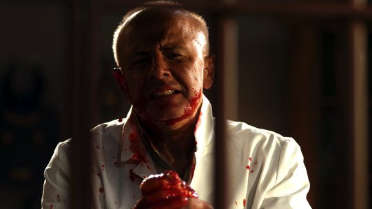 Фото - The Guest Room: 540x304 / 22 Кб