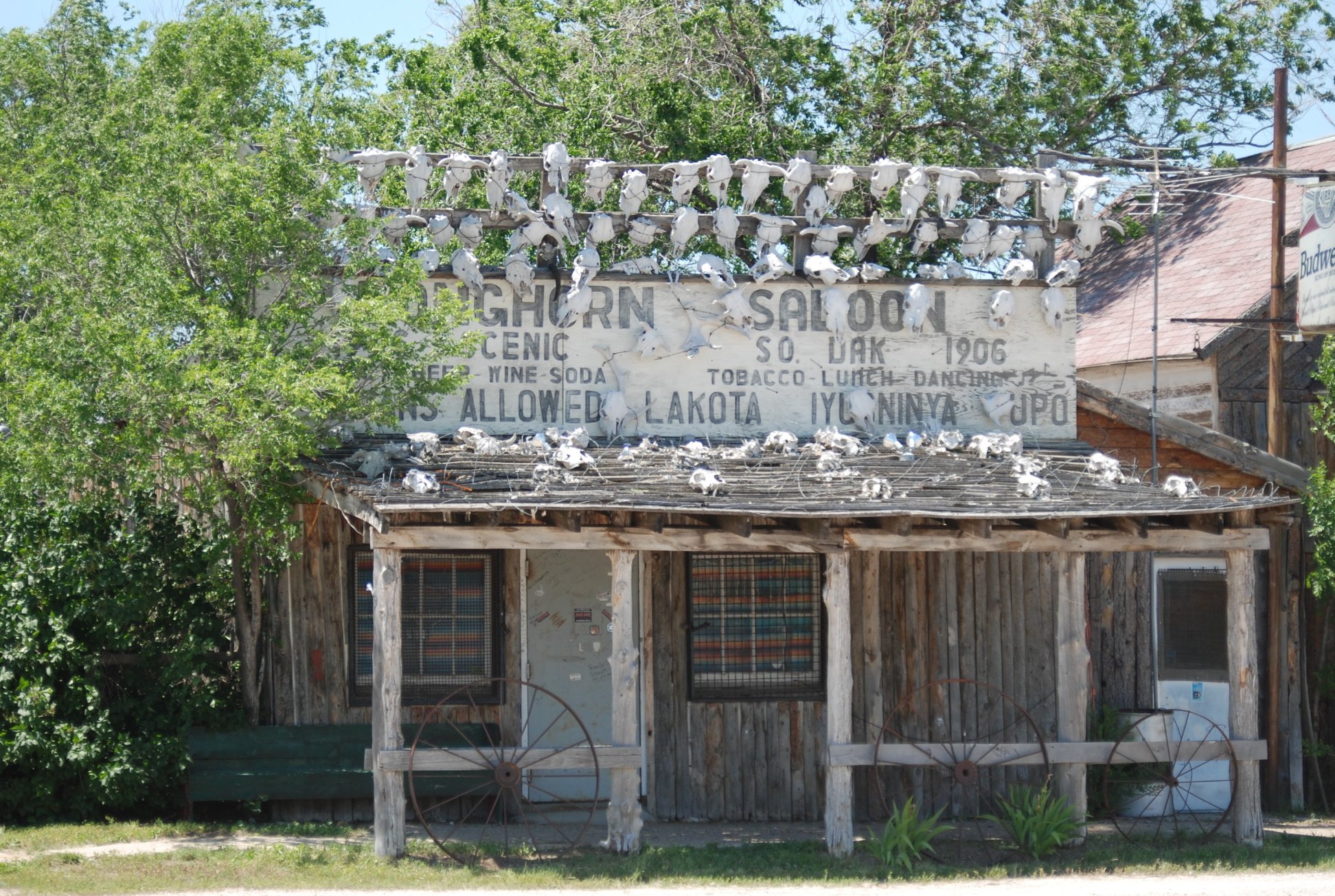 Фото - The First Potato: 1944x1305 / 678 Кб