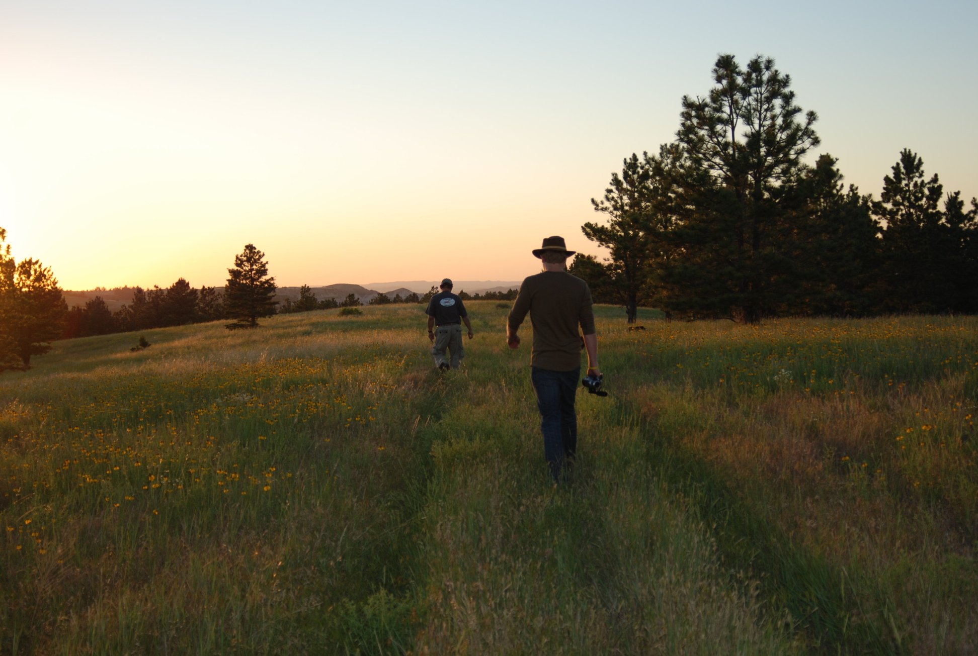 Фото - The First Potato: 1944x1305 / 313 Кб