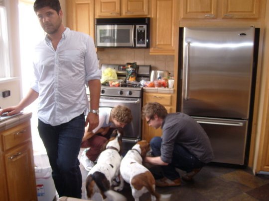 Фото - Bad Dads: 540x405 / 41 Кб