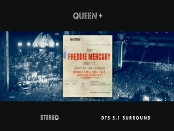 Фото - The Freddie Mercury Tribute: Concert for AIDS Awareness: 356x267 / 19 Кб
