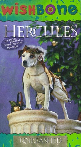 Фото - Вишбон - собака-фантазер: 264x475 / 41 Кб