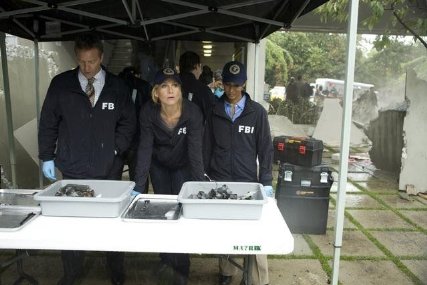 Фото - Визитеры: 427x285 / 31 Кб