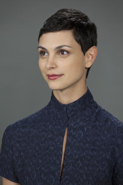 Фото - Визитеры: 427x640 / 30 Кб