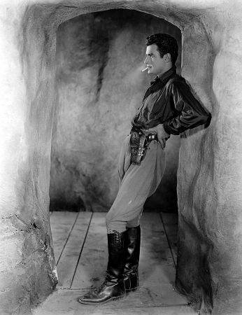 Фото - Голубь: 346x450 / 33 Кб