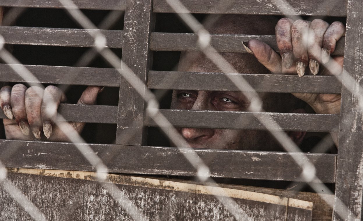 Фото - Пастырь: 1247x759 / 206 Кб