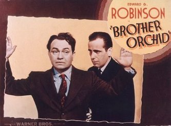 Фото - Орхидея брата: 333x246 / 20 Кб