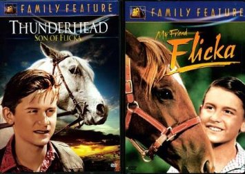 Фото - Мой друг Флика: 355x252 / 33 Кб