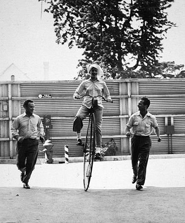 Фото - Море травы: 373x450 / 52 Кб