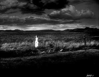 Фото - Море травы: 348x269 / 21 Кб