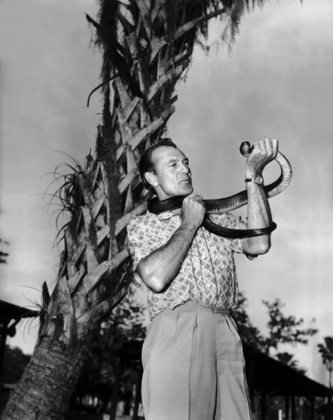 Фото - Далекие барабаны: 333x420 / 29 Кб