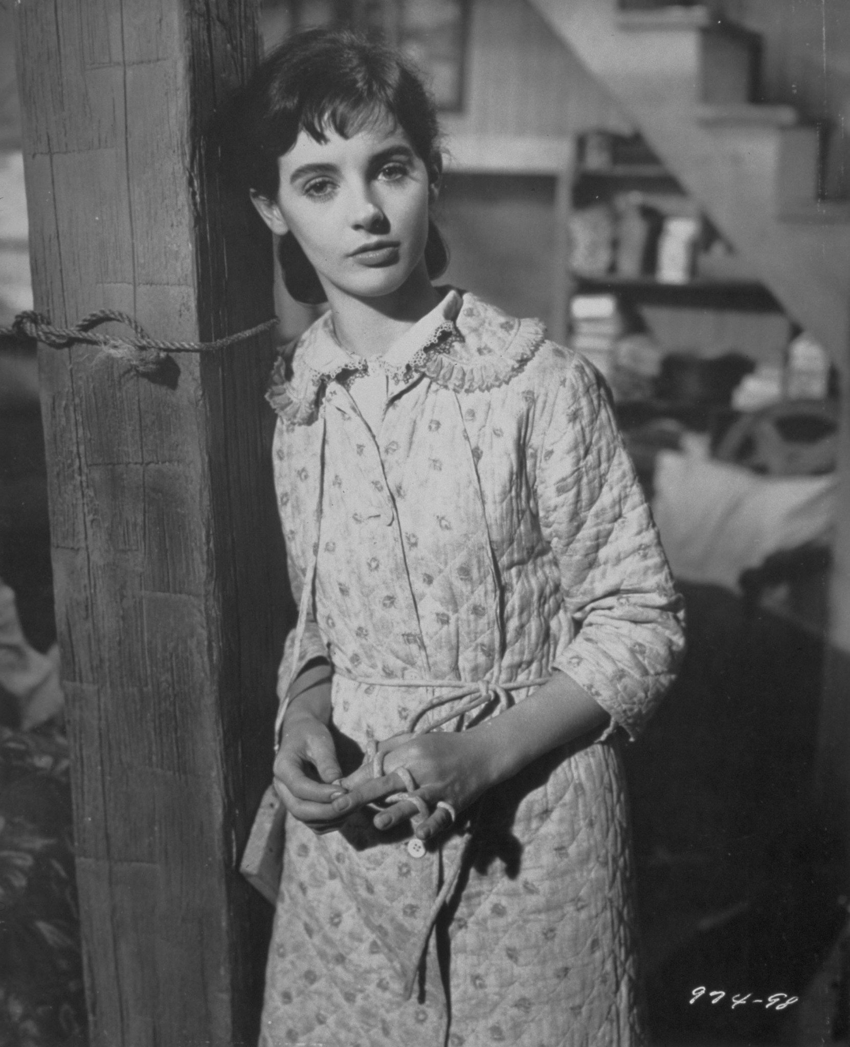 Фото - Дневник Анны Франк: 1662x2048 / 452 Кб