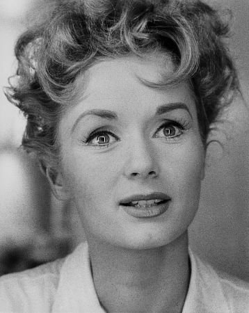 Фото - Мышиная возня: 358x450 / 34 Кб