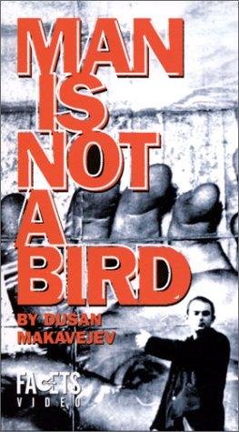 Фото - Человек не птица: 263x475 / 43 Кб