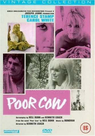 Фото - Бедная корова: 333x475 / 39 Кб