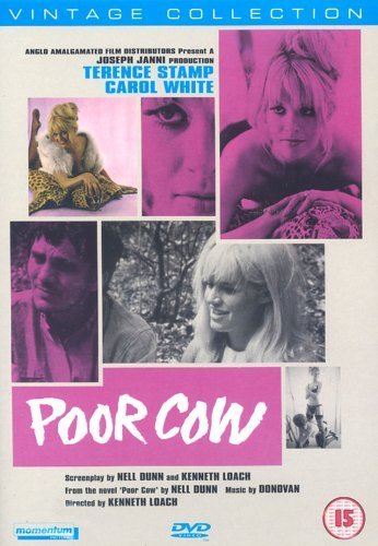 Фото - Бедная корова: 346x500 / 44 Кб