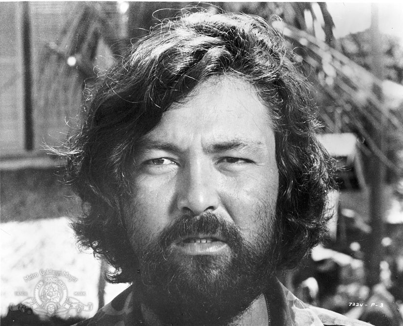 Фото - Черная мама, белая мама: 826x667 / 145 Кб