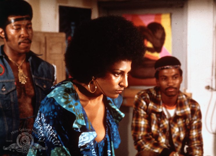 Фото - Фокси Браун: 742x538 / 69 Кб