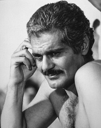 Фото - Финиковая косточка: 356x450 / 33 Кб