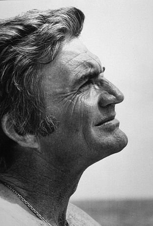 Фото - Финиковая косточка: 304x450 / 30 Кб