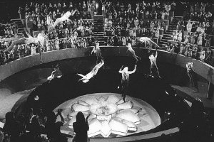 Фото - Бегство Логана: 300x200 / 22 Кб