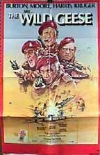 Фото - Дикие гуси: 144x223 / 12 Кб