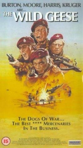 Фото - Дикие гуси: 267x475 / 33 Кб