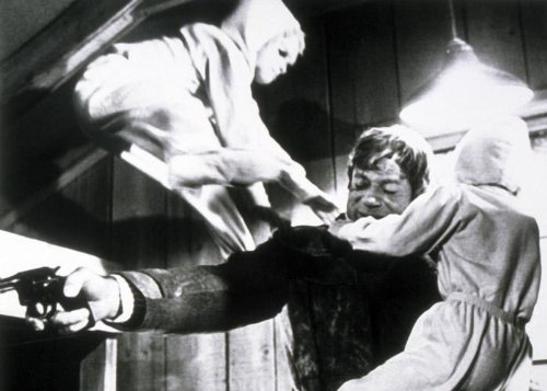 Фото - Выводок: 500x357 / 35 Кб