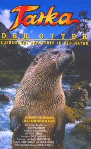 Фото - Выдра по имени Тарка: 292x475 / 41 Кб