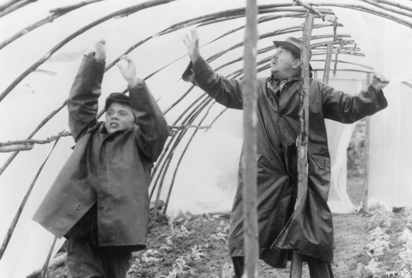 Фото - Сумерки: 1383x934 / 160 Кб