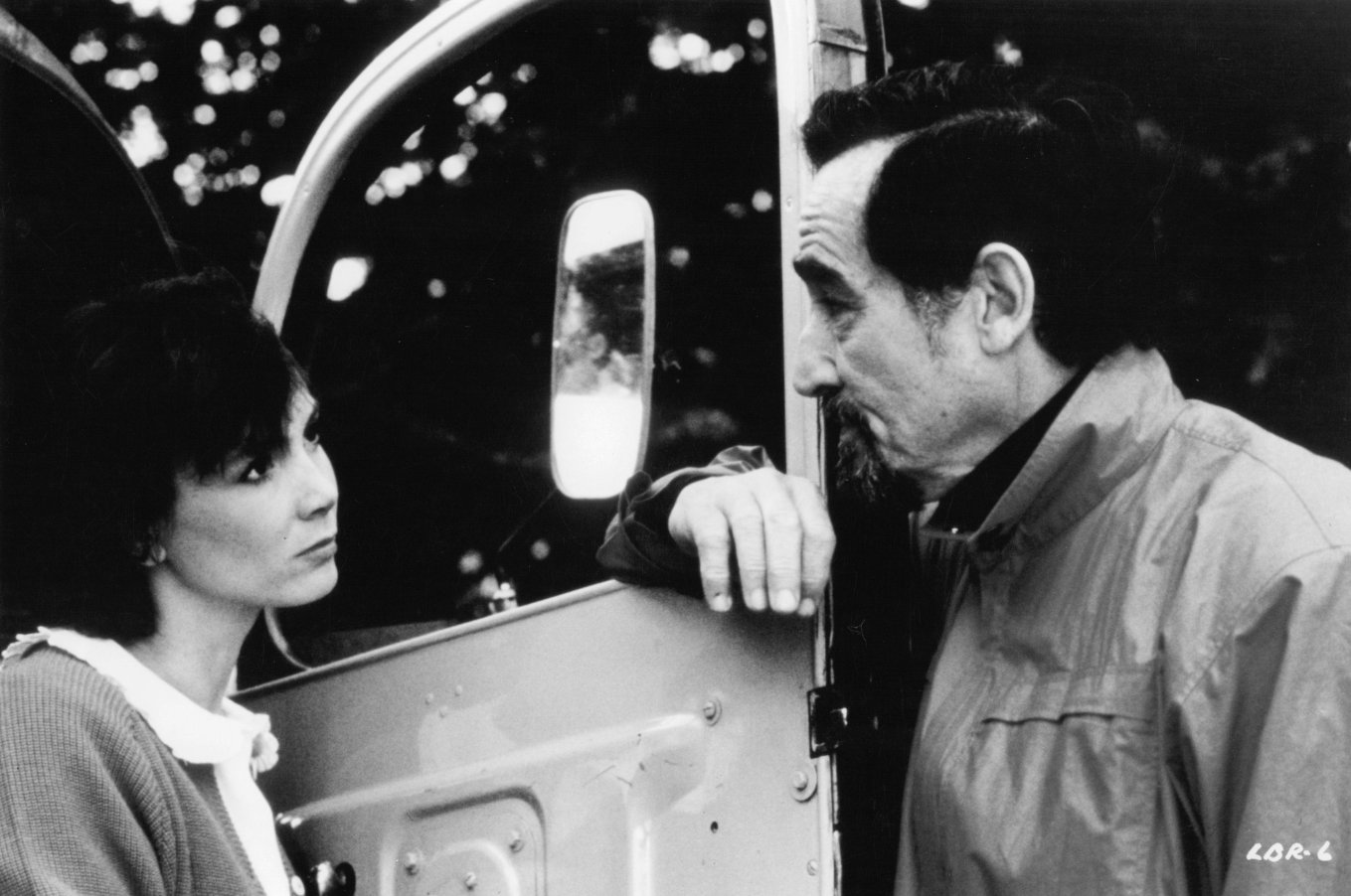 Фото - Жизнь - это роман: 1359x902 / 157 Кб