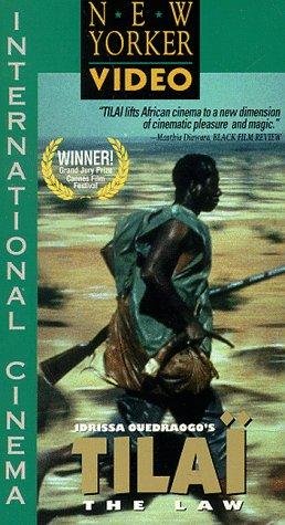 Фото - Тилай: 258x475 / 47 Кб