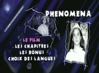 Фото - Феномен: 350x258 / 23 Кб