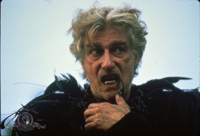 Фото - Путешествие в сказку: 697x475 / 48 Кб