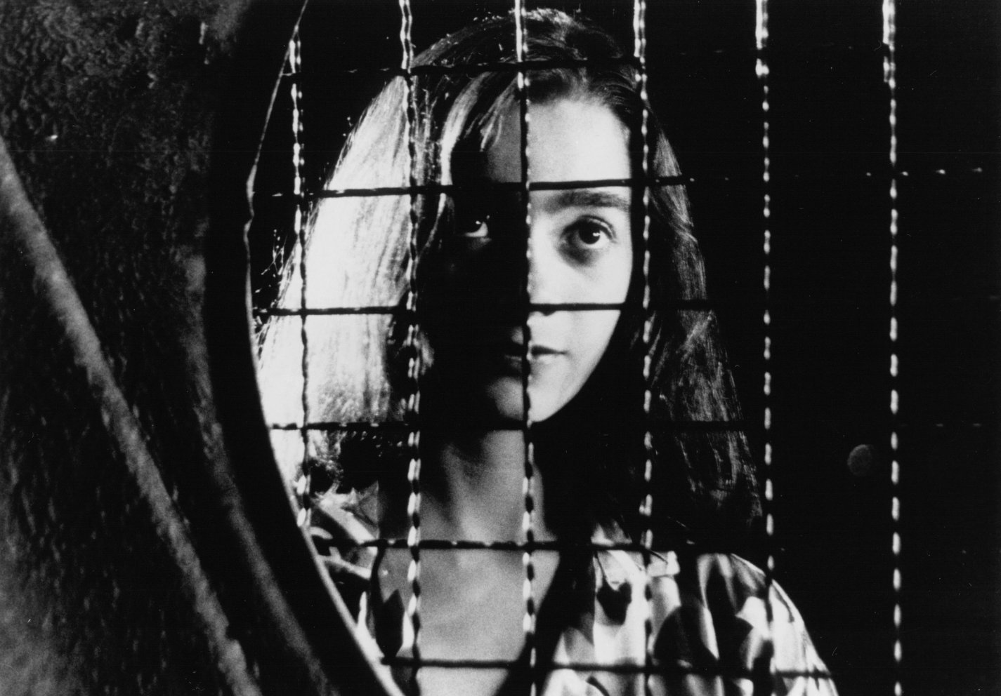 Фото - Поезд к звёздам: 1425x992 / 176 Кб