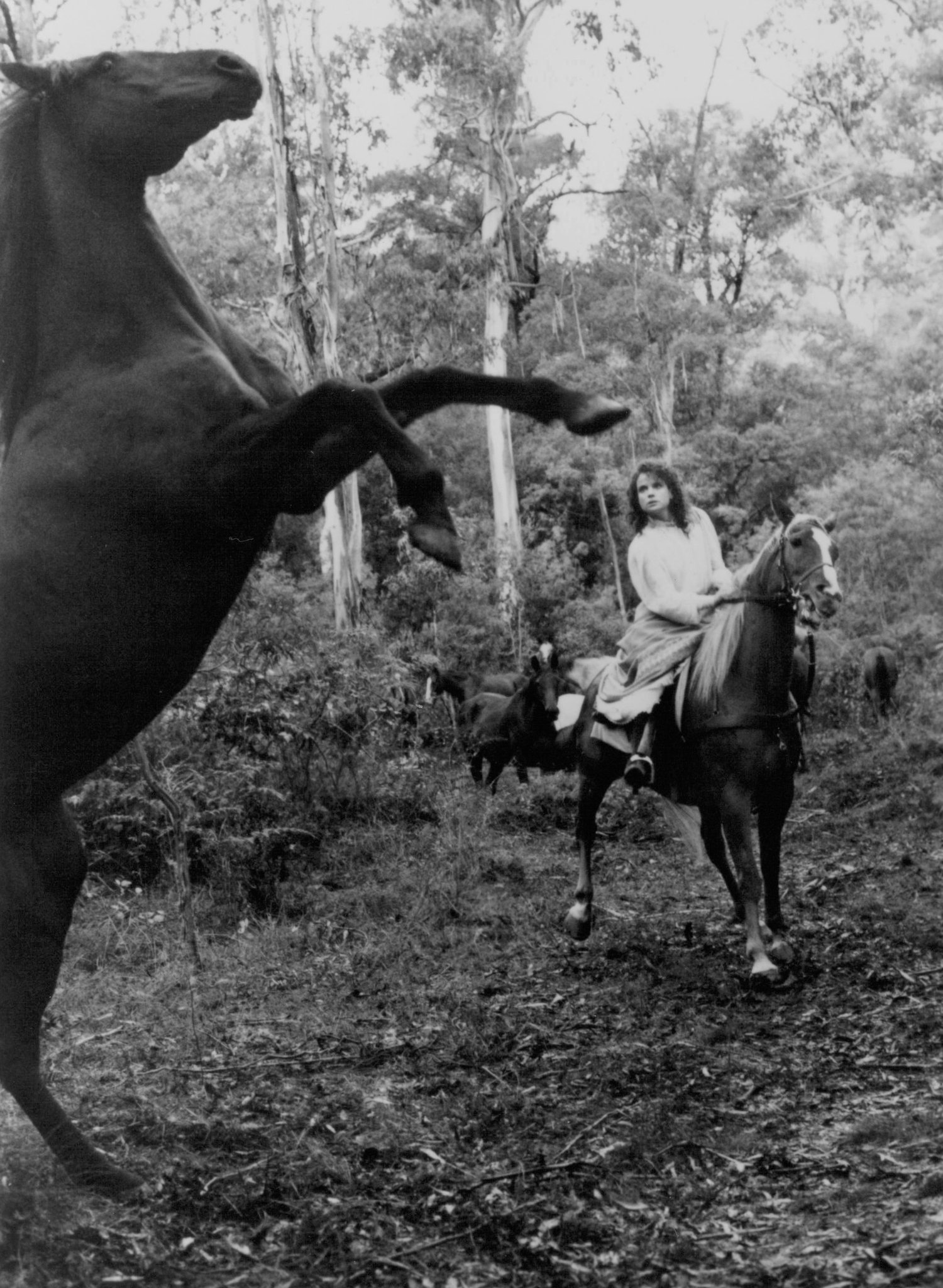 Фото - Возвращение на Снежную реку: 1500x2048 / 533 Кб