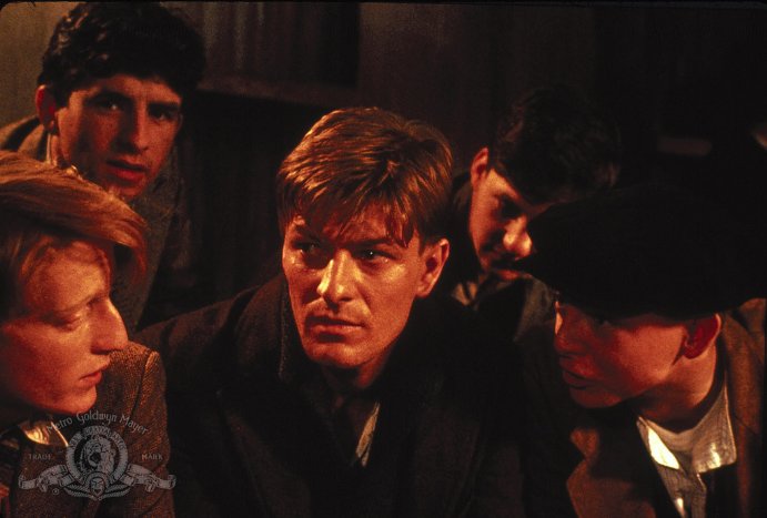 Фото - Поле: 691x467 / 46 Кб