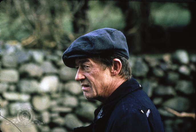 Фото - Поле: 687x461 / 58 Кб