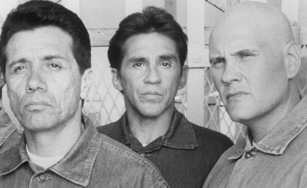 Фото - Американский боец: 1253x767 / 152 Кб