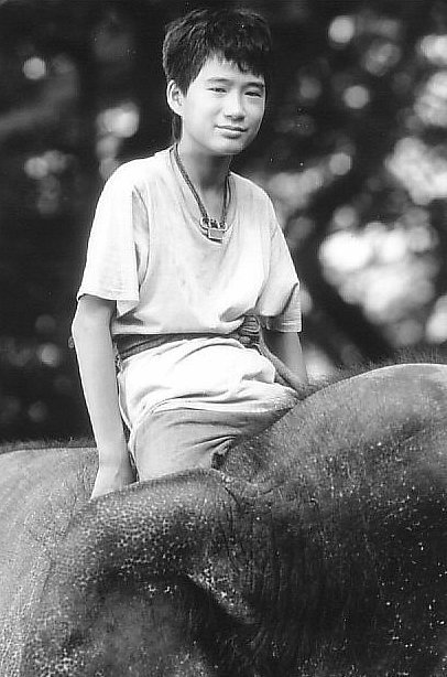 Фото - Операция 