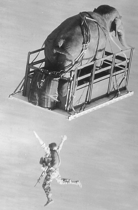 Фото - Операция 