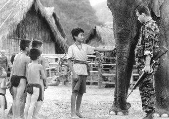 Фото - Операция 