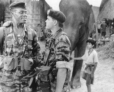 Фото - Операция 