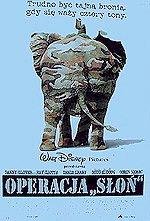 Фото - Операция 