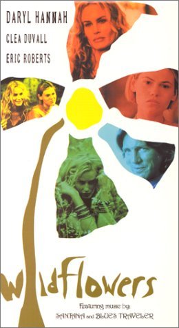 Фото - Полевые цветы: 260x475 / 28 Кб