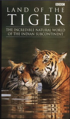 Фото - Земля тигров: 280x475 / 35 Кб