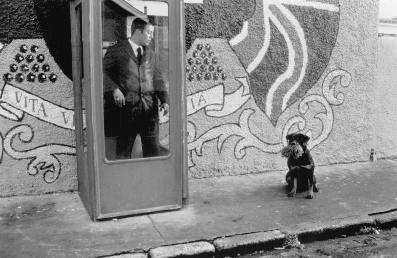 Фото - Вечный мир: 1330x864 / 215 Кб